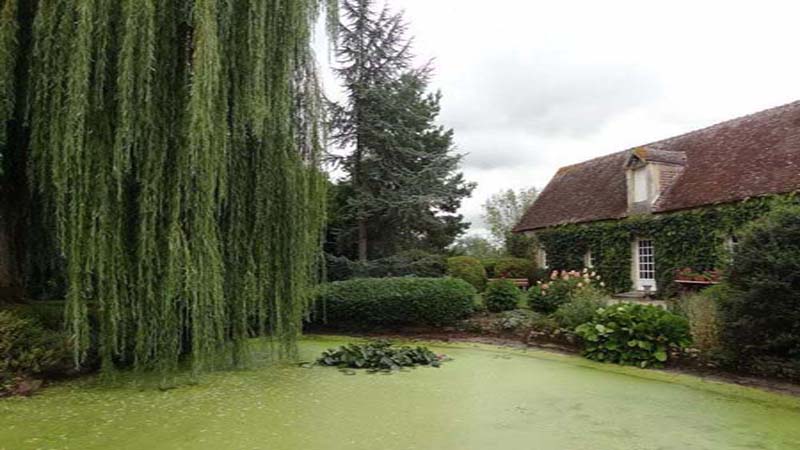 Abbaye de Villers-Canivet_14420 VILLERS-CANIVET_23